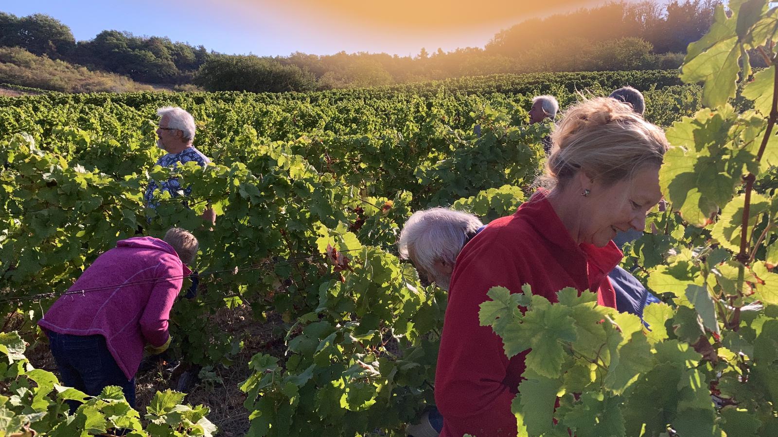 Weingut Fleck-Reich