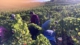 Weingut Fleck-Reich